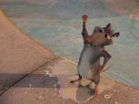 ����� � �������: ������ �����������