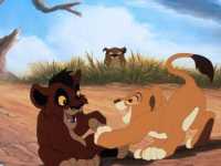 ������ ��� 2: �������� �����