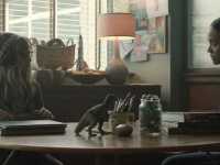 � �������� � ����������