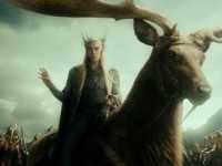 ������: ��������� �����������