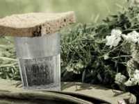 � ��� ���� ���� ��������