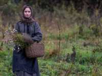 �� ������ �����