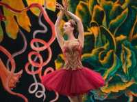 ������� �������