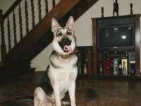 ����������� �������