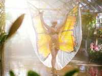 ������ �������