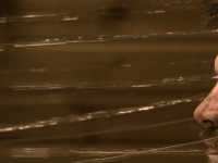 ���� ��� ��������