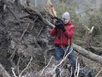 ������ 3