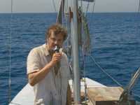 ����� ����