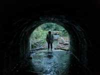 ������� ���������