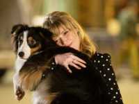 ��� ��� ����������