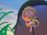 ������ ���� � ����� ���