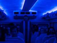 ������ ����