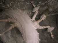 ����������