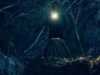 ������ ����