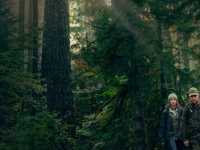 �� �������� ������