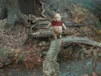 ��������� �����