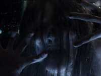 ����. ���������� ����