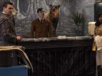 ������ �������� � ����� ���� ������