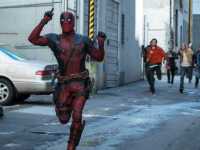 ���-��� ������