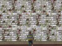 ������� �������. ������ 1