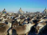 ������� �������� ����