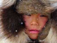 ������� �������� ����