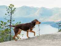 ���� �����