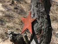 ������� � �������