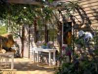 ��� � ����� ���