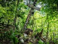 �������� �������� ��������