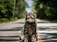 �������� �������� ��������