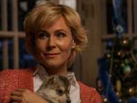 ������ �� �� ��������