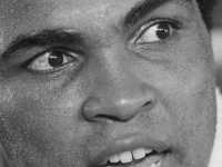 ���� ����� �������� ���