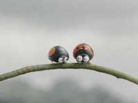 ������� 2