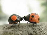 ������� 2