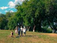 ������� ������� ��������