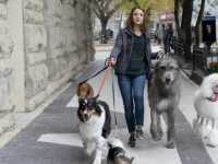 ������� ����� 2