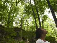 ������� �������