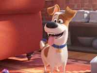 ������ ����� �������� �������� 2