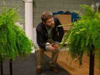 ����� ����� �������������