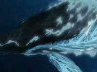 ���� ����