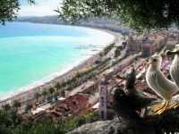 ������ �����