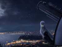 ������ �����