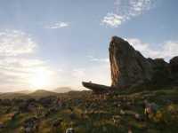 ������ ���