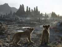 ������ ���