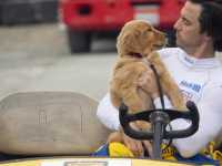 ����������� ��� ������� ����