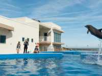 ������� �����