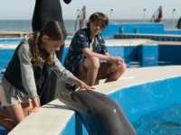 ������� �����