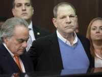 ���� ����� �����������