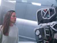 ���� ������